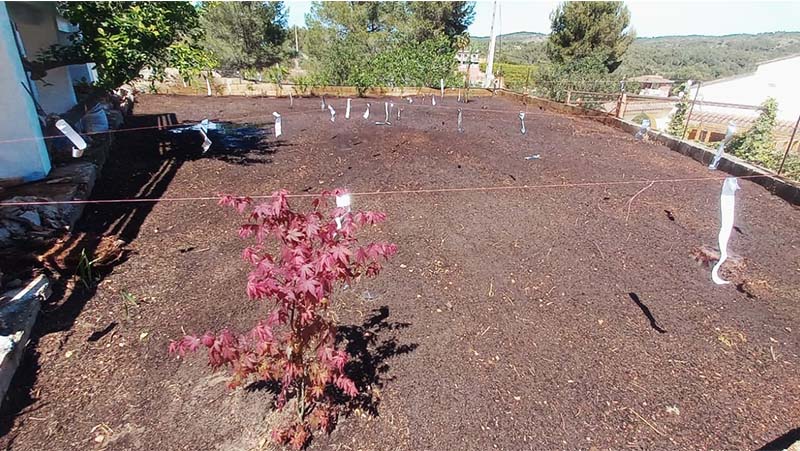 Ejecucion jardin